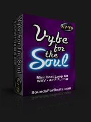 Vybe for the Soul
